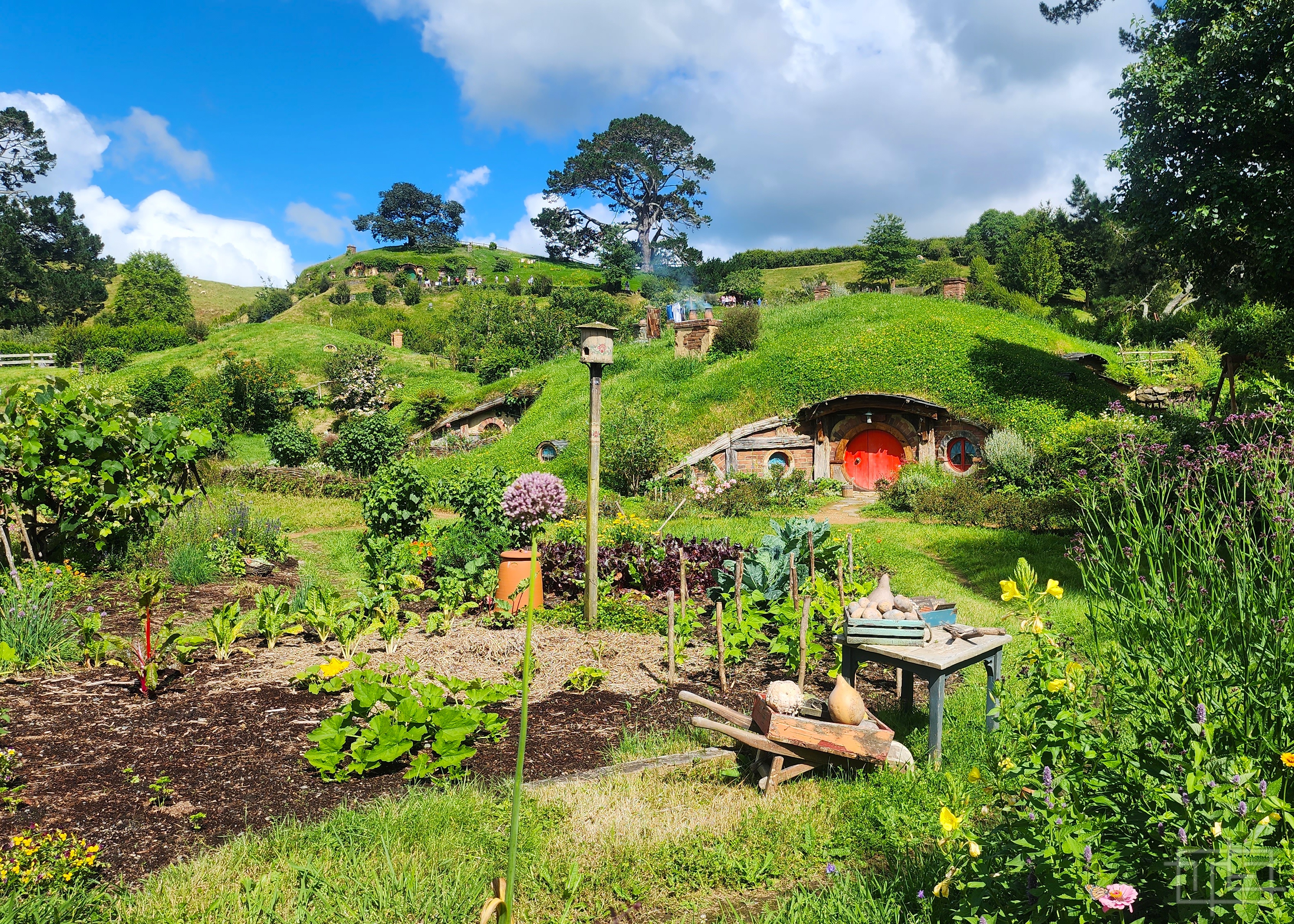20221223_100504_HobbitonNZ